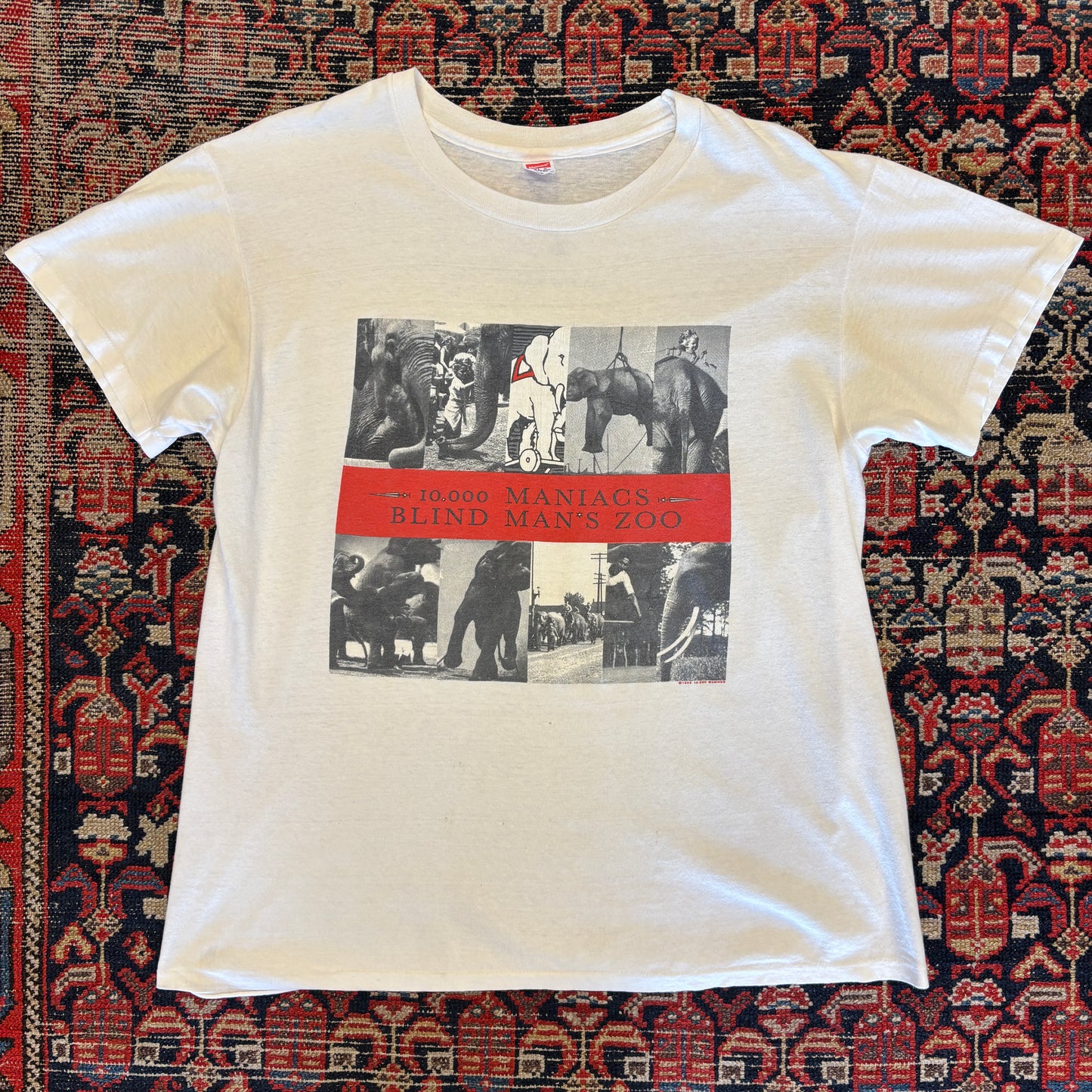 1989 10000 Maniacs Blind Mans Zoo Band Tee