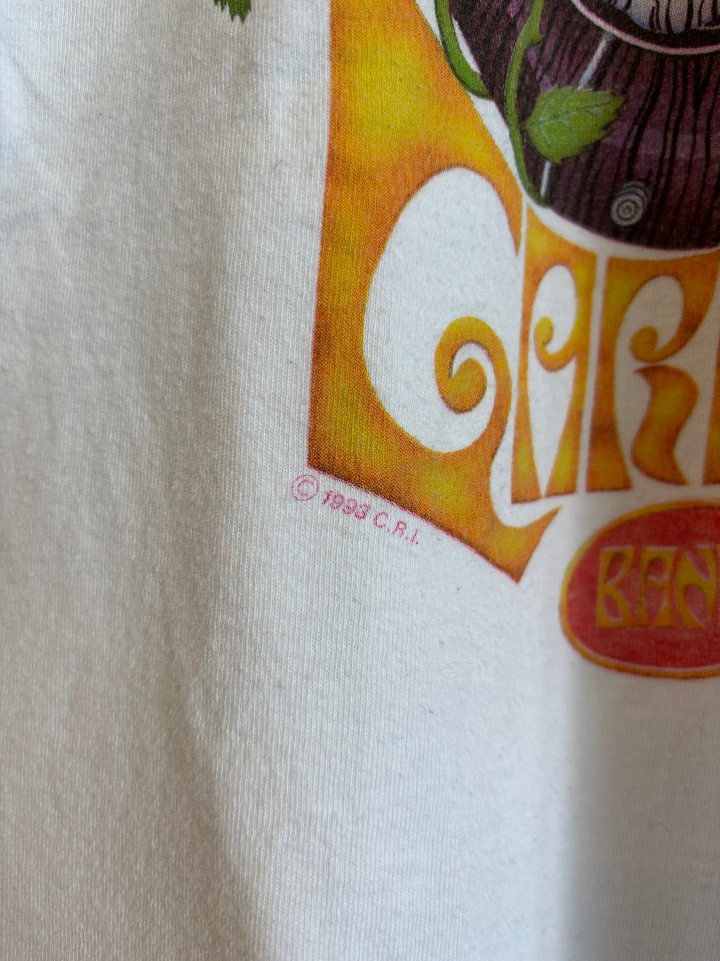 1990s Vintage The Jerry Garcia Band Tour Tee
